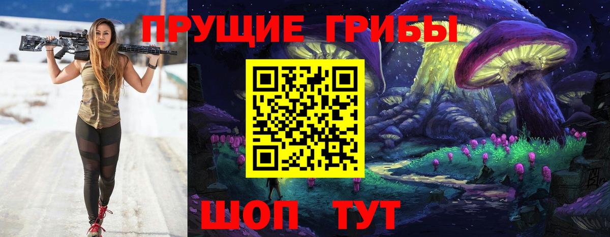 Мурино  Псилоцибиновые грибы Magic Shrooms  Псилоцибиновые грибы Psilocybe  Вход с VPN 