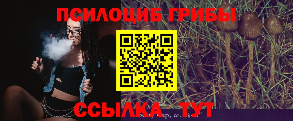 Галлюциногенные грибы Magic Shrooms Мурино